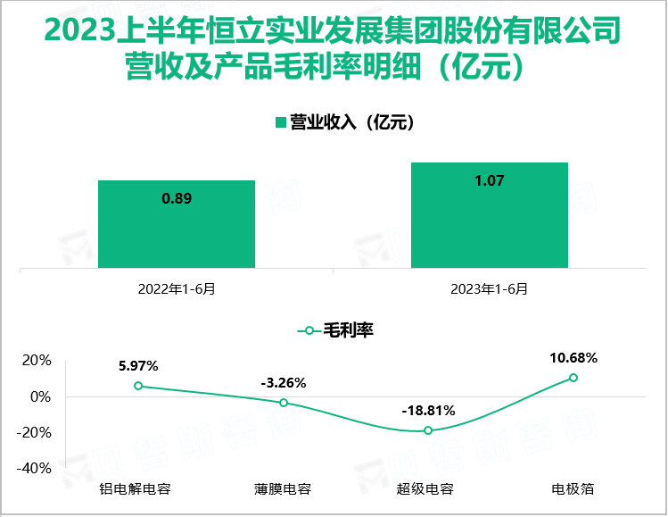 2023上半年恒立实业发展集团股份有限公司 营收及产品毛利率明细（亿元）