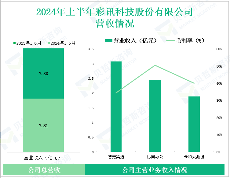 2024年上半年彩讯科技股份有限公司营收情况