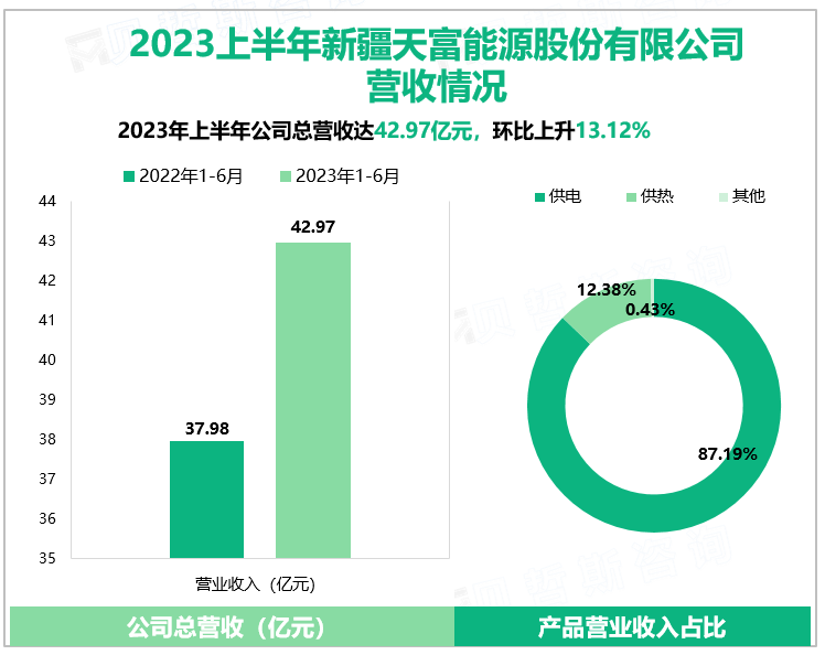 2023上半年新疆天富能源股份有限公司营收情况