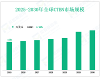 从2025年到2030年，全球CTBN市场销售预测，按类型、应用、地区和参与者