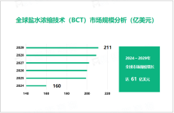 盐水浓缩技术（BCT）行业现状：2024年市场规模达160亿美元