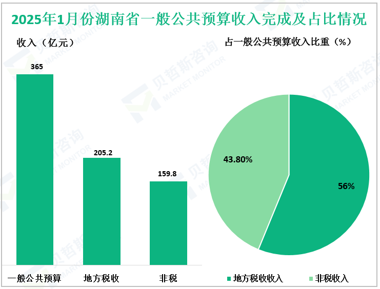 2025年1月份湖南省一般公共预算收入完成及占比情况