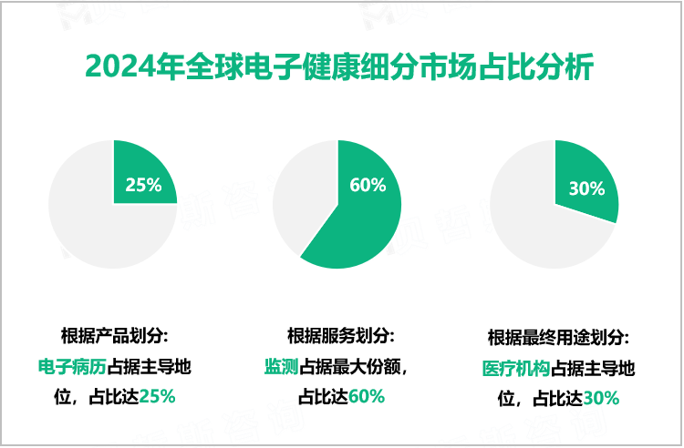 2024年全球电子健康细分市场占比分析