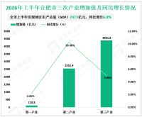 2026年上半年合肥市地区生产总值（GDP）7073亿元，同比增长6.8%