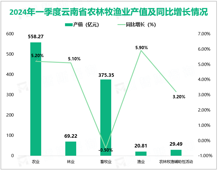 2024年一季度云南省农林牧渔业产值及同比增长情况