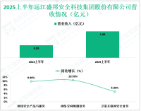 盛邦安全深耕于网络空间安全领域，其2025上半年营收为1.06亿元