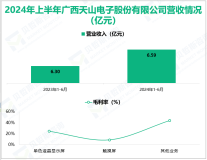 天山电子专注于显示行业，其营收在2024年上半年为6.59亿元