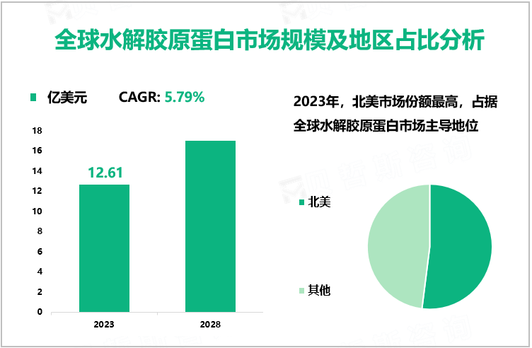 全球水解胶原蛋白市场规模及地区占比分析