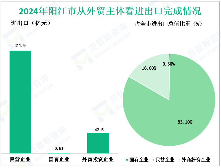 2024年阳江市从外贸主体看进出口完成情况