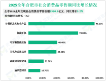 2025全年合肥市社会消费品零售总额5320.9亿元，同比增长3.2%