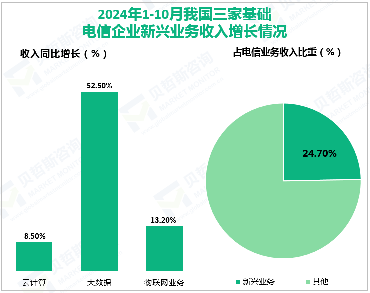 2024年1-10月我国三家基础电信企业新兴业务收入增长情况