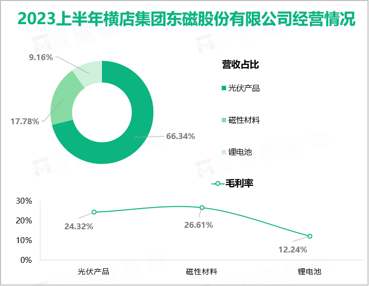 2023上半年横店集团东磁股份有限公司经营情况