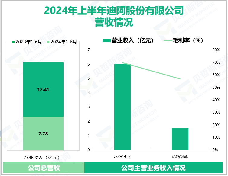 2024年上半年迪阿股份有限公司营收情况