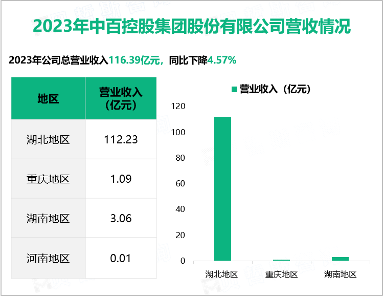 2023年中百控股集团股份有限公司营收情况