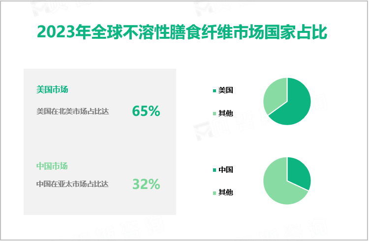 2023年全球不溶性膳食纤维市场国家占比