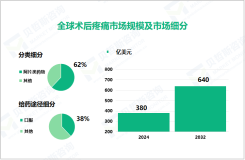 2024年术后疼痛市场细分：阿片类药物细分市场占比达62%

