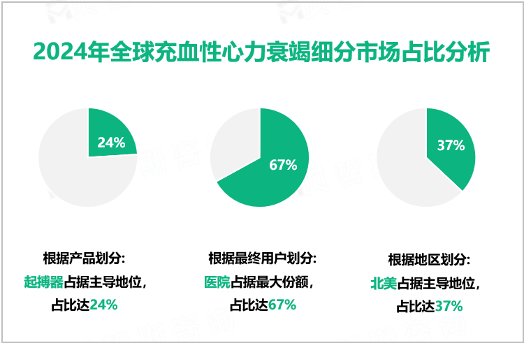 2024年全球充血性心力衰竭细分市场占比分析