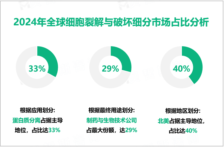 2024年全球细胞裂解与破坏细分市场占比分析