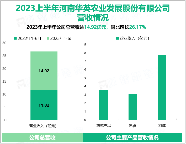 2023上半年河南华英农业发展股份有限公司营收情况