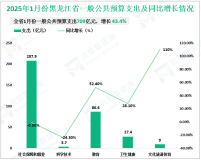 2025年1月黑龙江省一般公共预算收入完成183.2亿元，增长16%