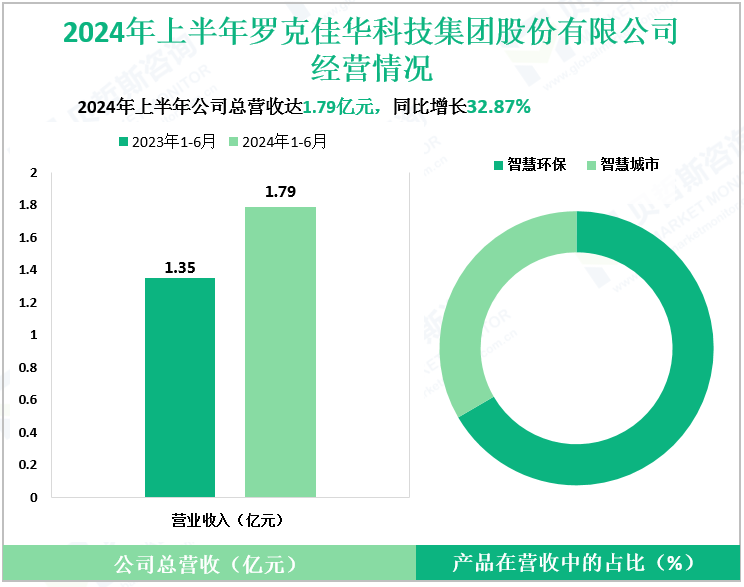 2024年上半年罗克佳华科技集团股份有限公司经营情况