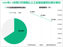 2024年1-5月周口市规模以上工业增加值同比增长8.9%，高于河南省1.2%