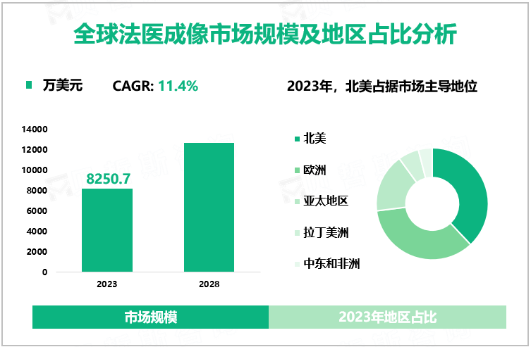 全球法医成像市场规模及地区占比分析