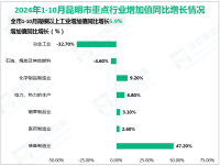 2024年1-10月昆明市规模以上工业增加值同比增长5.9%