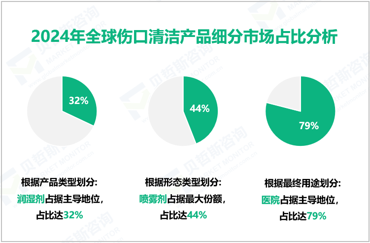 2024年全球伤口清洁产品细分市场占比分析