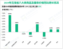 2024年青海省完成固定资产投资额比上年增长4.3%