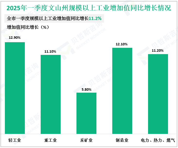 2025年一季度文山州规模以上工业增加值同比增长情况