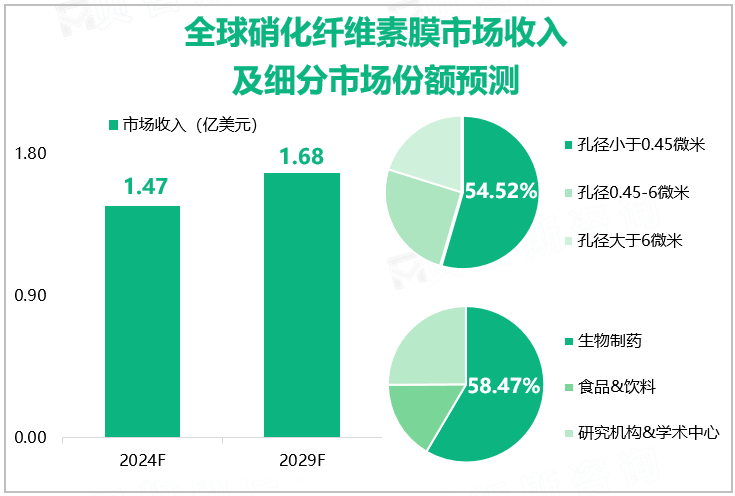 全球硝化纤维素膜市场收入及细分市场份额预测