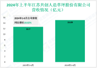 共创草坪深耕于人造草坪系统领域，其2024上半年营收为15.09亿元