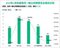 2024年1月份威海市一般公共预算收入完成31.6亿元，增长5.0%