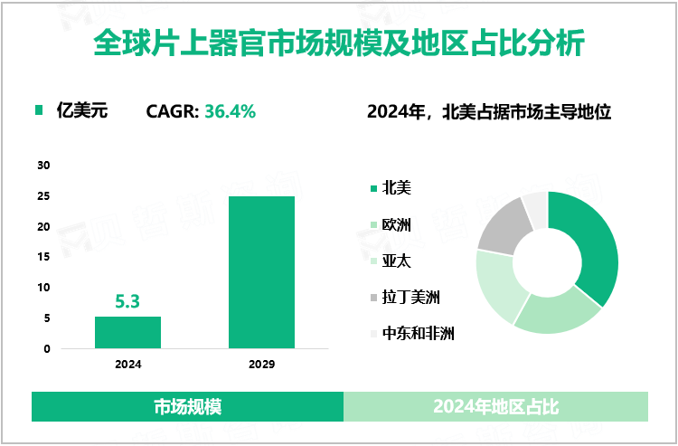 全球片上器官市场规模及地区占比分析