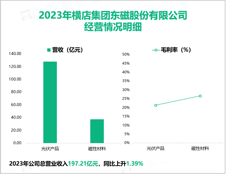 2023年横店集团东磁股份有限公司经营情况明细