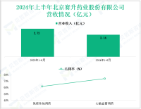 赛升药业专注于医药行业，其营收在2024年上半年为2.14亿元