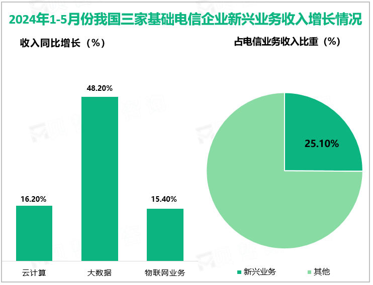 2024年1-5月份我国三家基础电信企业新兴业务收入增长情况