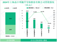 晶丰明源专注于电源管理芯片领域，其2024年营收为24.3亿元