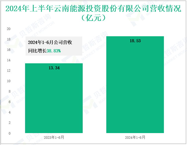 2024年上半年云南能源投资股份有限公司营收情况(亿元)
