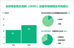 2024年胃食管反流病（GERD）设备市场细分：诊断程序市场占比达67.8%

