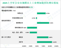 2025上半年吉安市地区生产总值1432.1亿元，同比增长5.8%