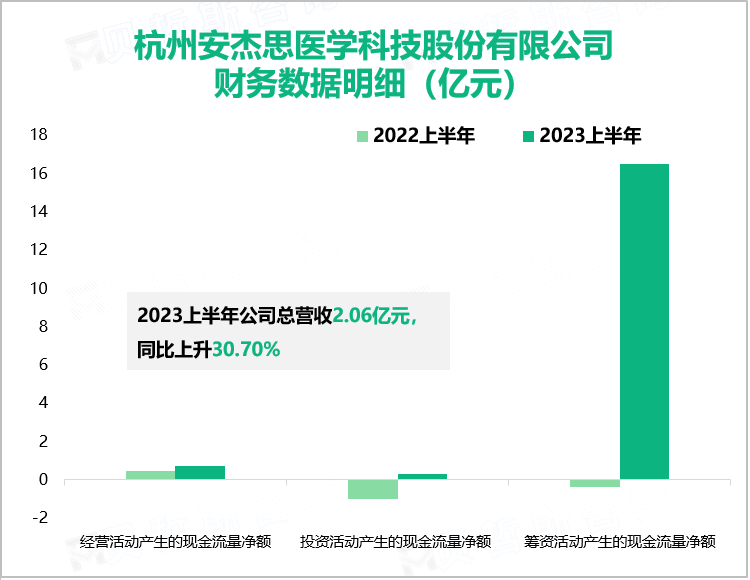 杭州安杰思医学科技股份有限公司财务数据明细（亿元）