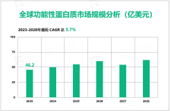 2023年功能性蛋白质市场现状分析：全球市场规模达46.2亿美元

