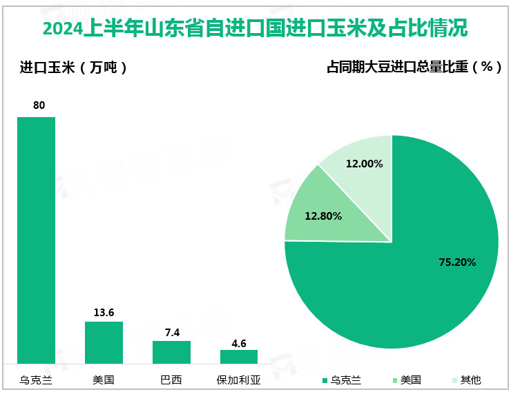 2024上半年山东省自进口国进口玉米及占比情况