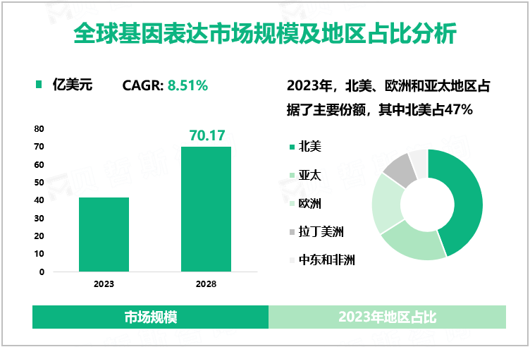 全球基因表达市场规模及地区占比分析