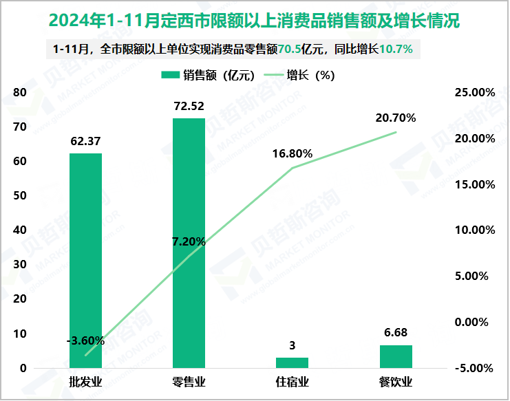 2024年1-11月定西市限额以上消费品销售额及增长情况