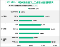 2023年1-11月宁夏回族自治区规模以上工业增加值同比增长11.5%