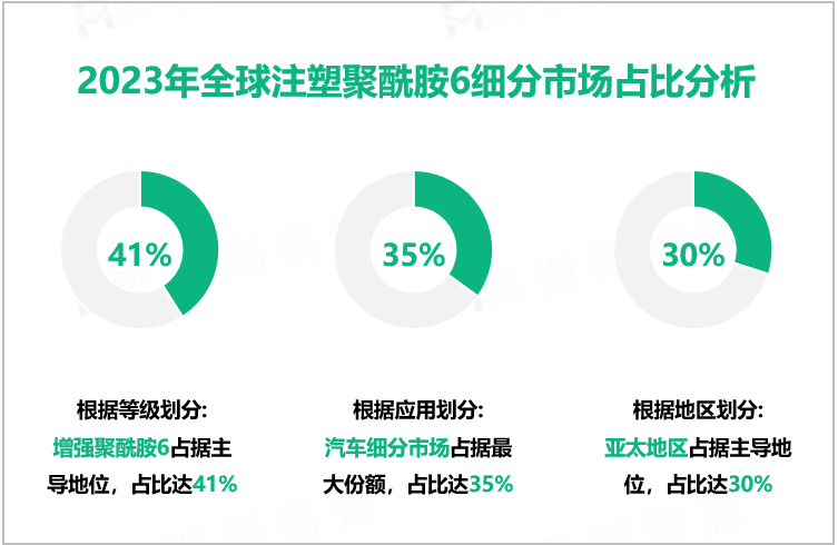 2023年全球注塑聚酰胺6细分市场占比分析