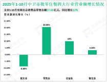 2025年1-10月中卫市限额以上社会消费品零售额27.65亿元，同比增长12%